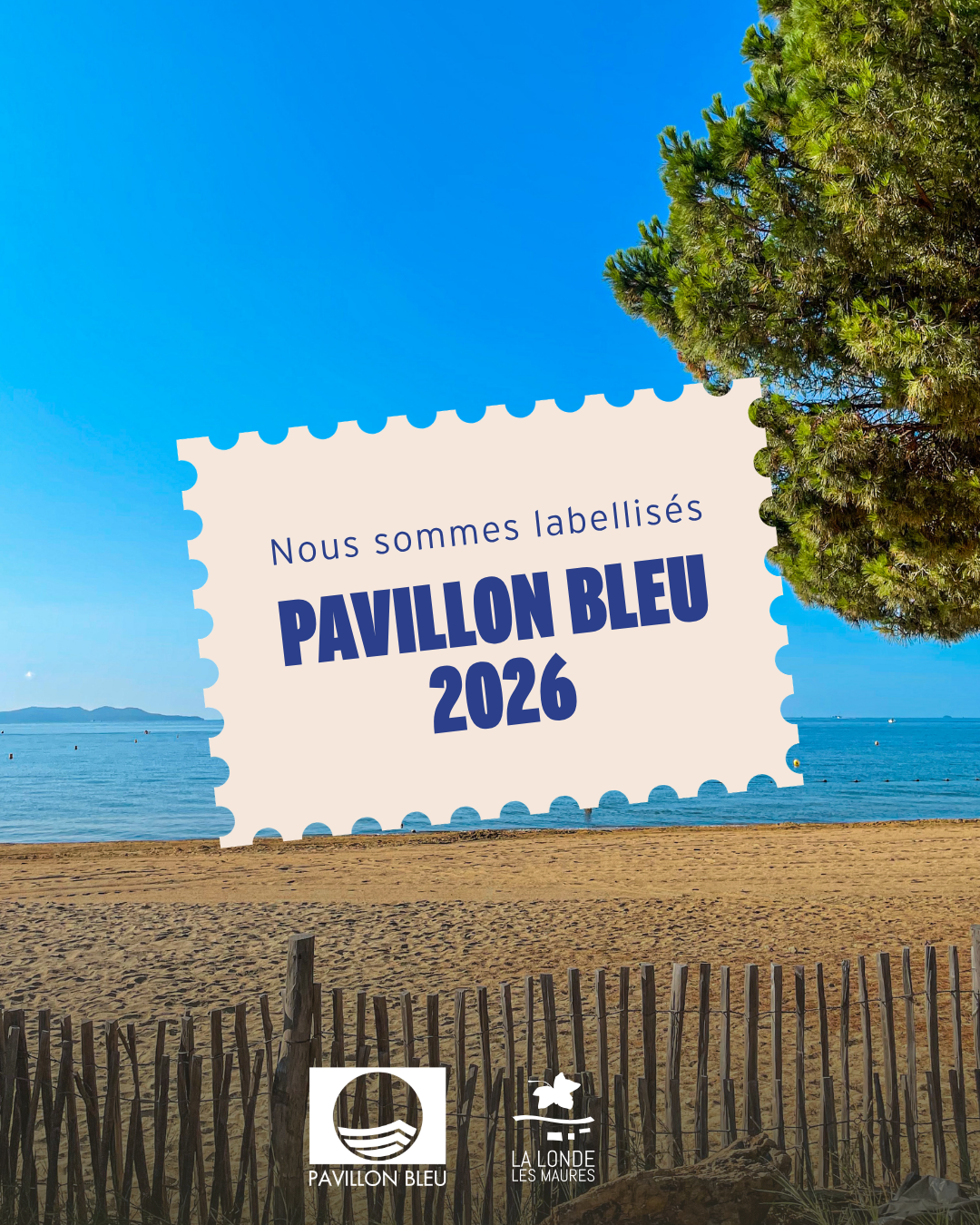 PAVILLON BLEU 20254
