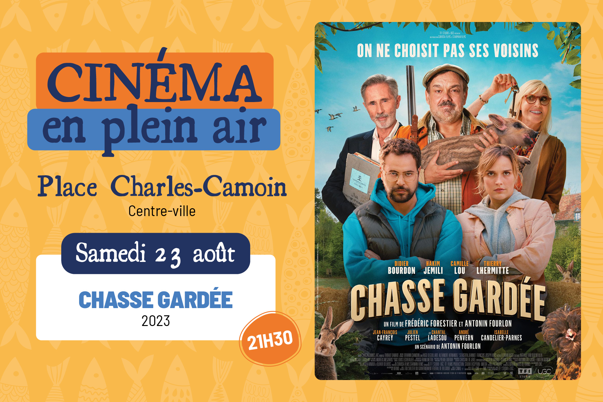 Cinéma en plein air 