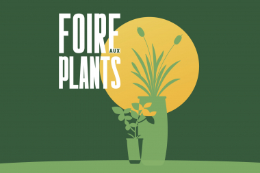 Foire aux plants